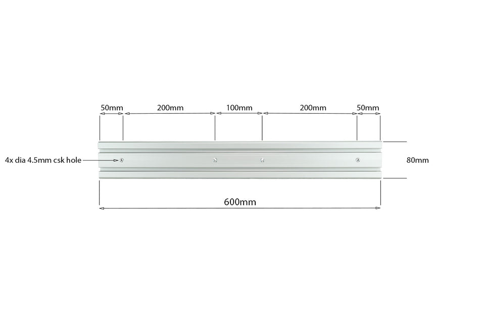 600mm Screw-Down Rail - 2xT-Slot - 4 x Csk Holes